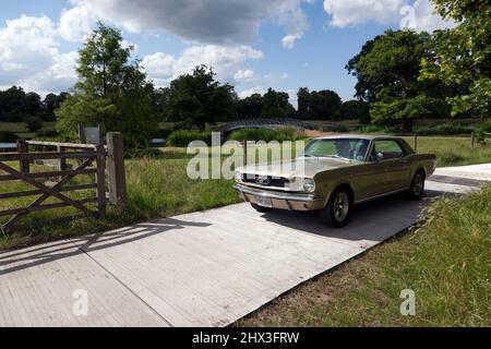 A  Gold, 1966, Ford Mustang Coupe, being demonstrated at the 2021 London Classic Car Show Stock Photo