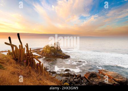 Cliff in Punta de Lobos at Pichilemu, VI Region, Chile Stock Photo