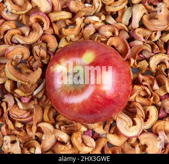 One ripe red apple on dried apple slices Stock Photo