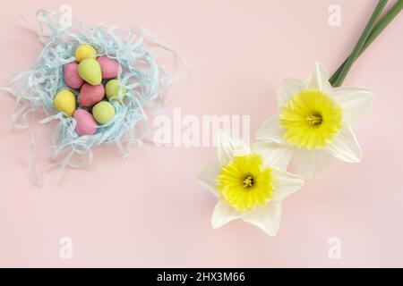 Two Daffodils and coloured mini chocolate eggs from above Stock Photo