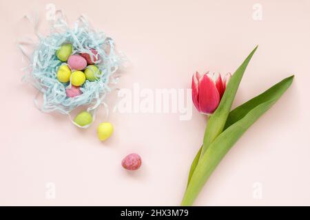 One red tulip and coloured chocolate mini eggs Stock Photo