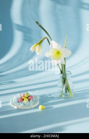 Daffodils and mini Easter eggs with shadows from curtains on blue background Stock Photo