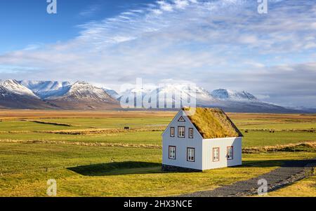 Traditional turf covered house in Glaumbaer, northwestern Iceland. Agricultural fields with horses, and snow-covered mountains in the background on a Stock Photo