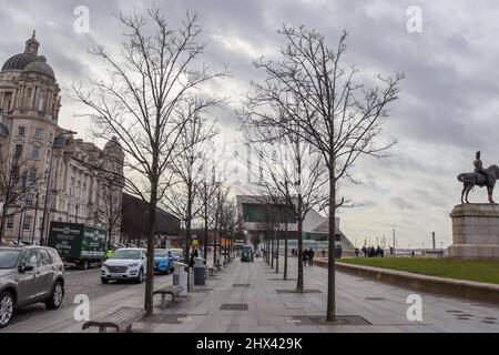 Tree lined pavement at Pier Head, Liverpool Stock Photo