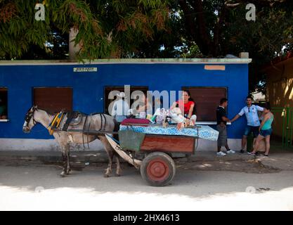 Woman sitting on a horse drawn buggy drinking coffee outside a store in Trinidad, Cuba smile at the camera. Stock Photo