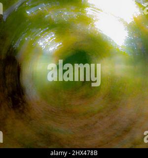 An intential camera movement abstract image of a swirly woodland background. Stock Photo