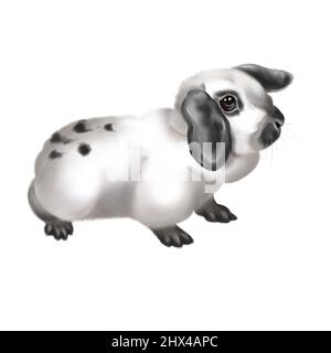 watercolor realistic black and white rabbit. Illustration of a bunny. oar-eared breed Stock Photo
