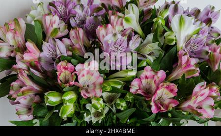 A vase of mixed Alstroemerias. Stock Photo