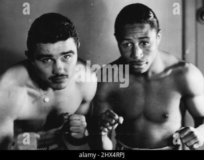 Two recently arrived overseas boxers, who are to make their Australian debuts soon. They are Mexican lightweight Mario Trigo and American bantamweight Billy Peacock. Trigo is to meet Italian and European champion Duilo Loi. Peacock's first match will be against Pierre Cossemyns in Sydney. Mario Trigo (left), Mexican lightweight boxer, and Billy Peacock American bantamweight, who will have their first Australian fights here soon. Trigo will meet *****. September 22, 1954. Stock Photo