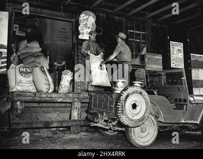 Jeep-of-All-Trades -- Trucking... The farmer takes his milk to market and brings back a load of feed for his livestock. Charles E. Sorenson, President of Willys Overland Motors, has enumerated 27 different farm jobs that the jeep can perform quickly and efficiently. Sorensen believes that the jeep will have the same phenomenal popularity after this war that the model T Ford had after the last one. September 16, 1945. (Photo by C.J. Nichols, International News Photos). Stock Photo