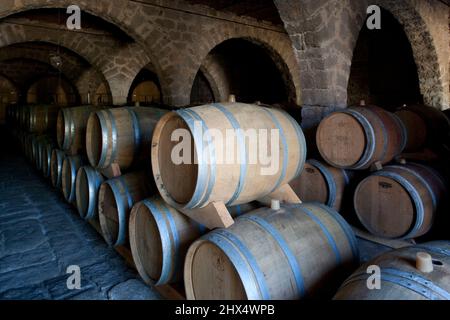 France, Corsica, Vallee de l'Orto, Domaine Saparale, wine cellar Stock Photo