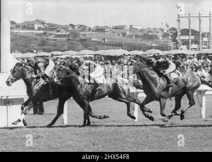 San Domenico (5 to 11) takes the Challenge Stakes at Randwick yesterday by half a length from Mine Host (5 to 1). Count Cosmo (25 to 1) was third. January 30, 1949. Stock Photo
