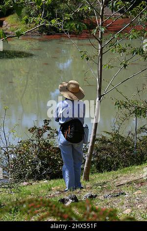 Back of Woman in Denim, Straw Hat Standing Next to a Small Tree Looking Out Over a Pond Stock Photo