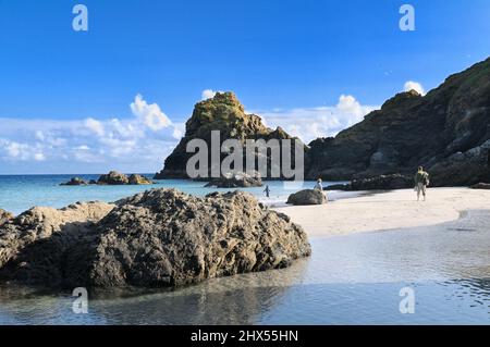Kynance Cove on the Lizard Peninsula with its distinctive serpentine rock stacks, white sands and turquoise blue waters, Cornwall, England, UK Stock Photo