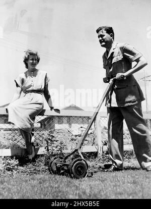 Election Aftermath. For the first time for many weeks the lawn is mewed and behind the Mower is new member for St. George. He is Mr B.W. Graham, an ***** and limbless airman. Aged 30 years he will be probably the youngest member in the new house. This photograph taken at his home in ***** Ryde while his wife looks on. December 11, 1949. (Photo by Frederick John Halmarick/Fairfax Media) Stock Photo