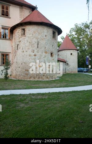 Slovenia, Lower Carniola, Otocec, castle, tower Stock Photo