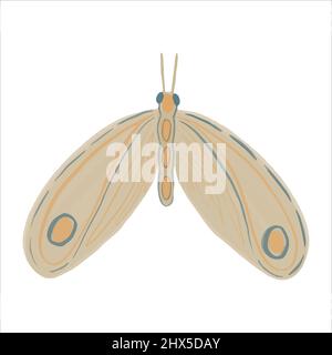 Exquisite hand drawn moth in boho style. Vector illustration. Stock Vector
