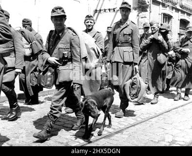 In Liberated Cherbourg: German Takes his Dog to Prison Camp One of the German soldiers being marched through liberated Cherbourg on the way to internment has his dog with him. June 28, 1944. Stock Photo