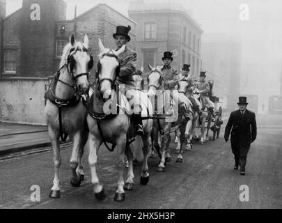 These are the horses which will pull the Queens State Coach at the Coronation and they are undergoing training to keep an even marching pace. January 15, 1953. (Photo by Daily Mail Contract Picture). Stock Photo