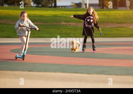 children ride a scooter and rollerblades on the playground Stock Photo