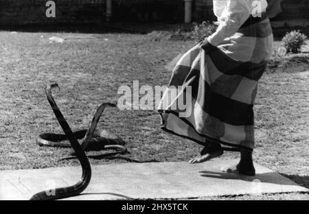 The snake charmer makes passes with two King Cobras, dancing gingerly in front of them like a torreader facing the bull. May 18, 1949. (Photo by Henri Cartier-Bresson, Magnum Photos Inc.). Stock Photo