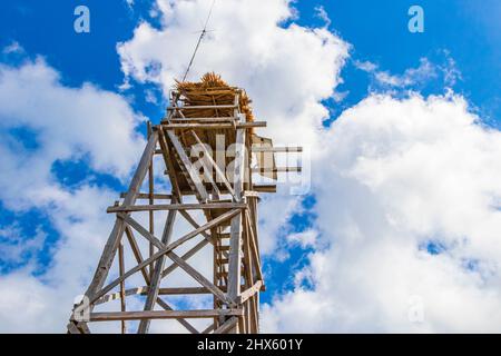 Wooden viewpoint tower with panorama view to the Muyil Lagoon in the tropical jungle nature forest with blue sky of Sian Ka'an National park Muyil Chu Stock Photo