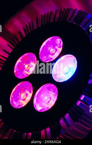 Vertical close-up view of the pink led lamp for plant growing. Abstract technologies backgrounds Stock Photo