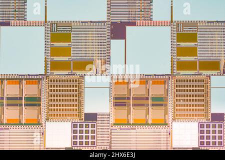 Silicon wafer for manufacturing semiconductor of integrated circuit, close up view. Stock Photo