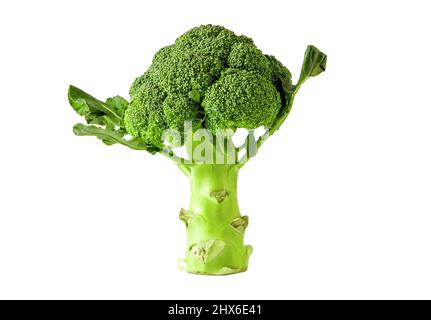 Broccoli vegetable isolated on white background with clipping path. Stock Photo