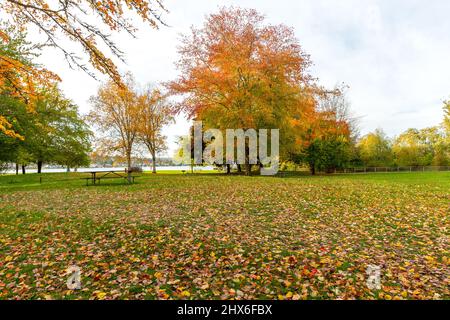 Lake Sammamish State Park in Autumn Stock Photo