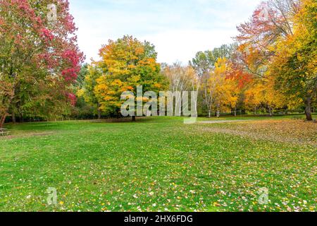 Lake Sammamish State Park in Autumn Stock Photo