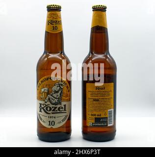 Bologna - Italy - February 5, 2022: Bottle of Kozel Beer isolated on white background. Stock Photo