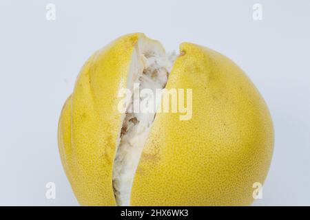 Pomelo fruit isolated on white background, tropical exotic citrus fruit Stock Photo