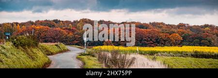 countryside twisting road in autumn Stock Photo