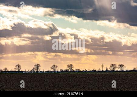 A field, trees, windmills and a spectacular sky with dramatic dark and reddish clouds and sunbeams Stock Photo
