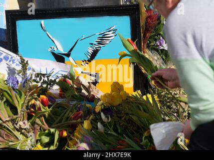 Hamburg, Germany. 10th Mar, 2022. An employee of the Consulate General of Ukraine sorts the discarded flowers and posters in front of the entrance to the consulate. Credit: Marcus Brandt/dpa/Alamy Live News Stock Photo