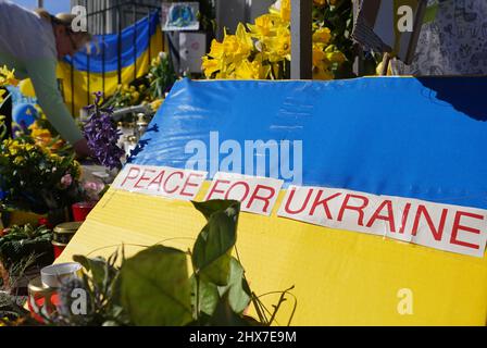 Hamburg, Germany. 10th Mar, 2022. An employee of the Consulate General of Ukraine sorts the discarded flowers and posters in front of the entrance to the consulate. Credit: Marcus Brandt/dpa/Alamy Live News Stock Photo