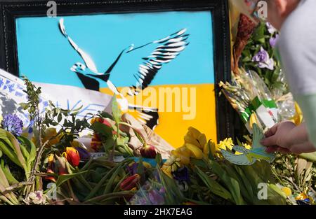 Hamburg, Germany. 10th Mar, 2022. An employee of the Consulate General of Ukraine sorts the discarded flowers and posters in front of the entrance to the consulate. Credit: Marcus Brandt/dpa/Alamy Live News Stock Photo