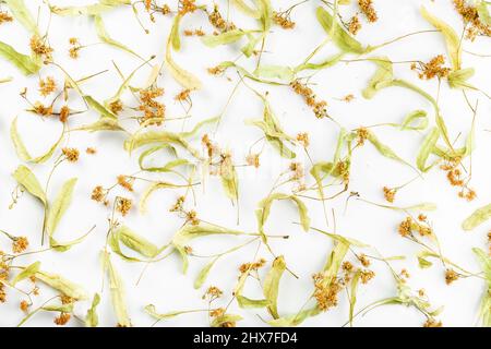 Dried linden tea flowers scattered on the white background. Alternative herbal medicine Stock Photo