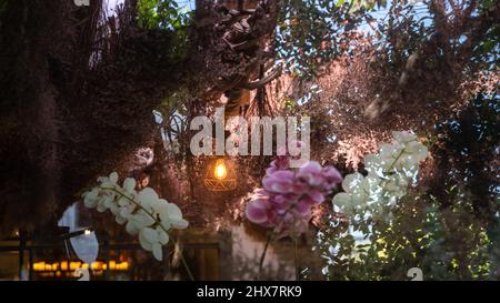 Floral vintage wallpaer pattern in cafe shop. Beautiful blooming ochid  garden flowers, decorative herbs in cafe shop background. Template for decorat Stock Photo
