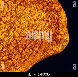 Natural amber texture. Multicolored background for advertising and banners. Vintage fossilized resin as a background. Red amber amber background Stock Photo
