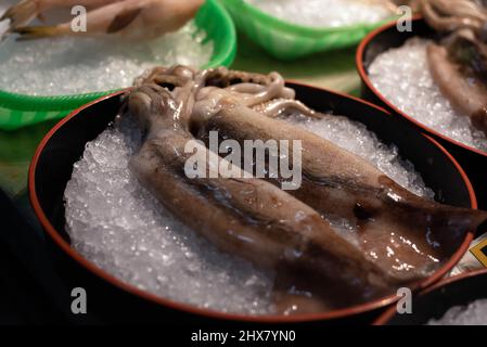 Fresh squid chilled on ice displayed for sale at an Asian wet market supermarket. Stock Photo