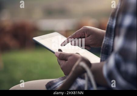 The modern way to manage a farm. Shot of an unrecognisable man using a digital tablet while working on a cow farm. Stock Photo