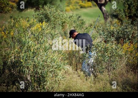 Golfer preparing to hit ball from the rough Stock Photo