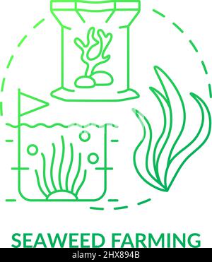 Seaweed farming green gradient concept icon Stock Vector