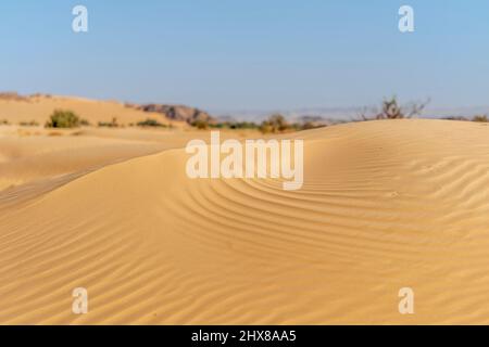 Sahara Desert dune of Algeria. Wonderful sand color with amazing ripples shapes and contrasts. Blurred blue sky and dried herbs. Stock Photo
