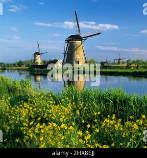 The windmills of Kinderdijk in spring, Kinderdijk, South Holland, Netherlands, Europe Stock Photo