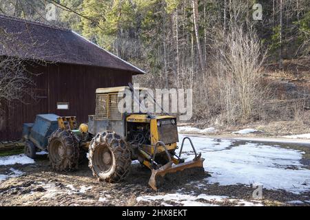 Old yellow forest wheel tractor LKT 81 with snow chains on all wheels parking on the muddy road in front of wooden house and coniferous trees. Stock Photo