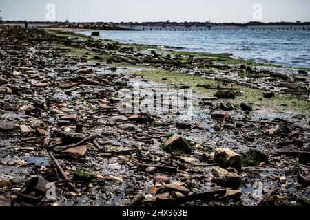 The vintage garbage and bones covered beach of Dead Horse Bay in Long Island Stock Photo