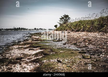 The vintage garbage and bones covered beach of Dead Horse Bay in Long Island Stock Photo